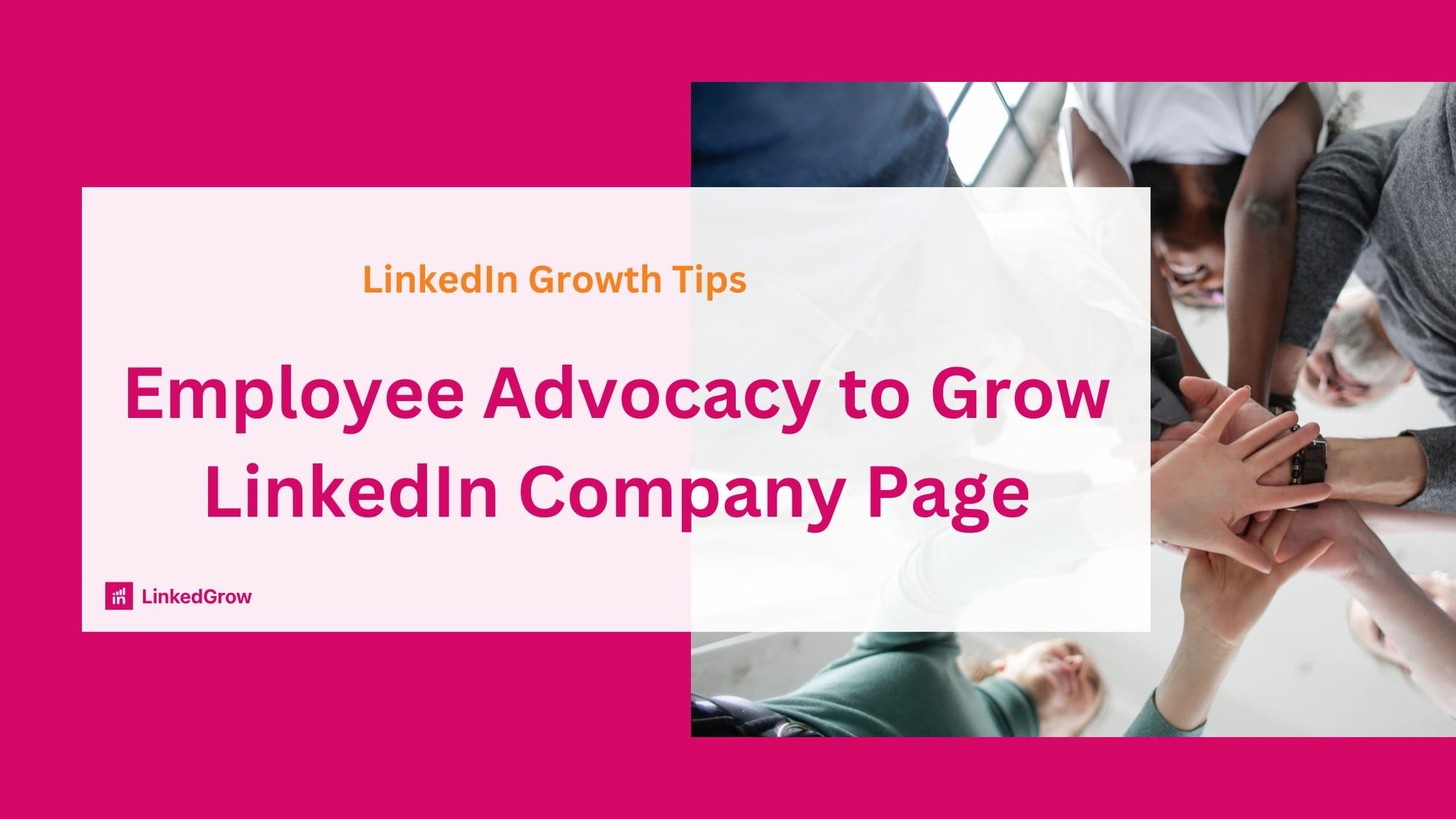 The Power of Employee Advocacy: Growing Your LinkedIn Company Page